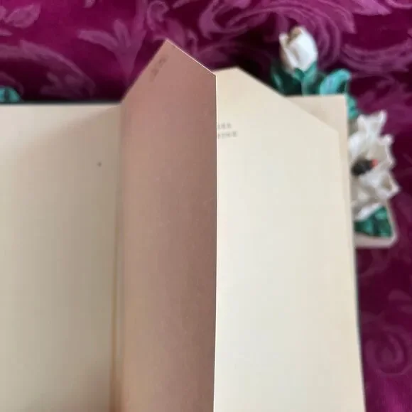 1910 Dutch Agnes: Her Valentine by W.G. Collingwood, Antique Book - Picture 3 of 10